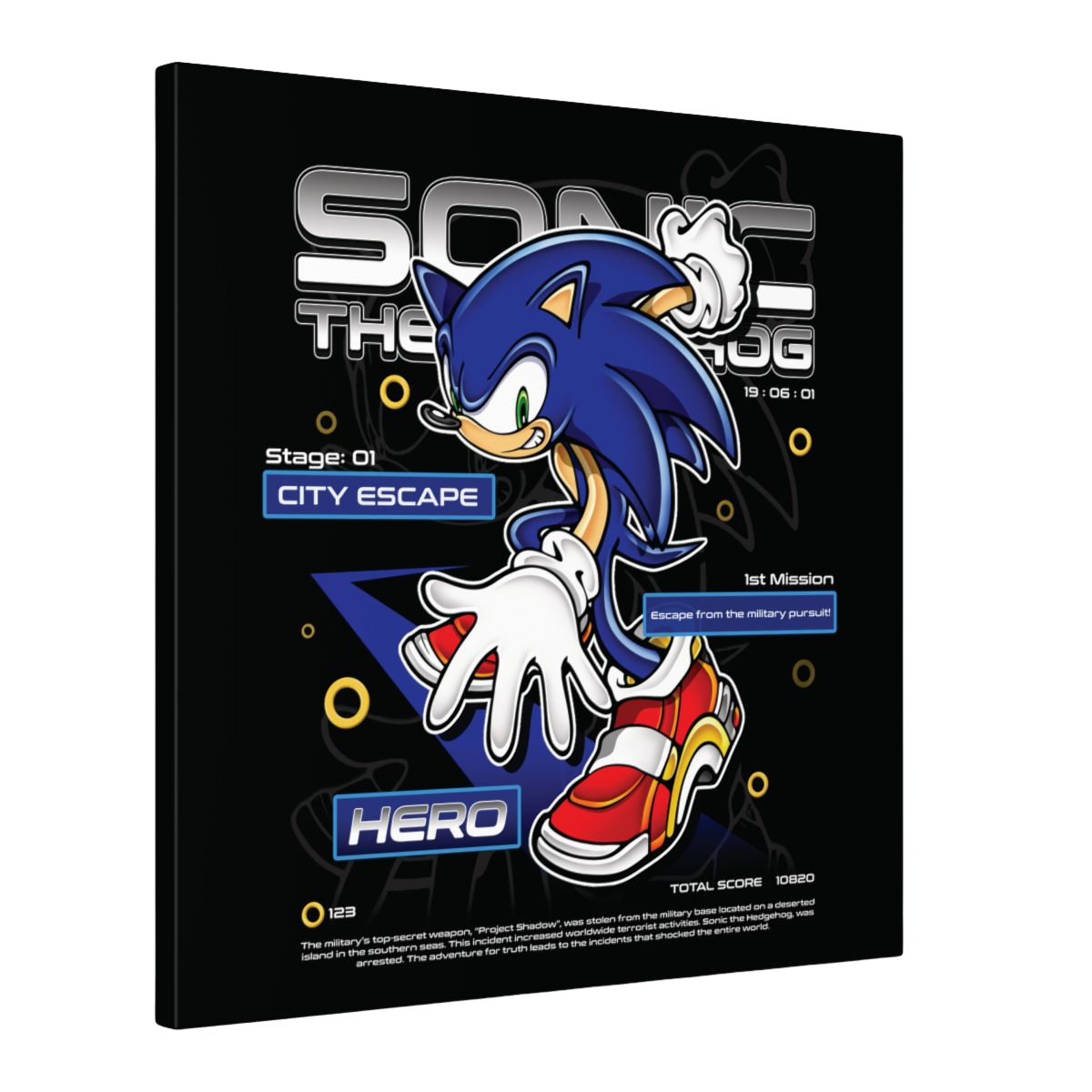SA2 - Hero (Canvas)