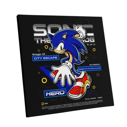 SA2 - Hero (Canvas)